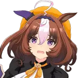 メイショウドトウ