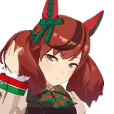 ナイスネイチャ